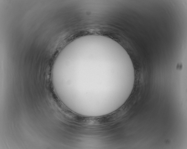 X0000110760702200906150930