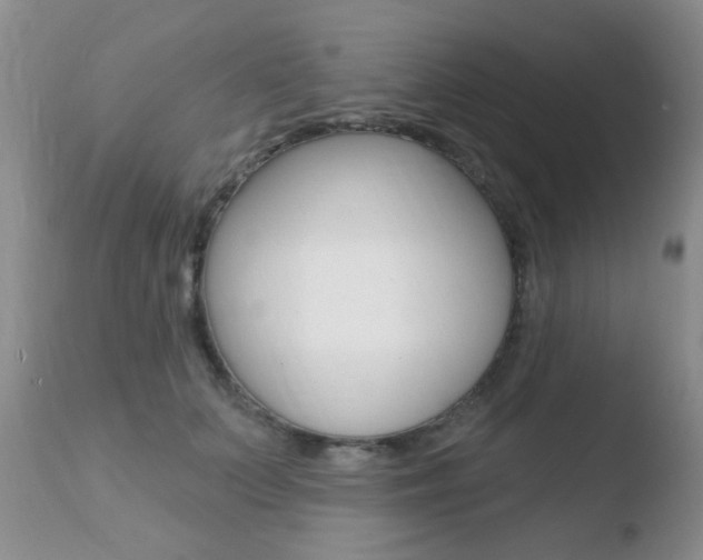 X0000110760703200906150930