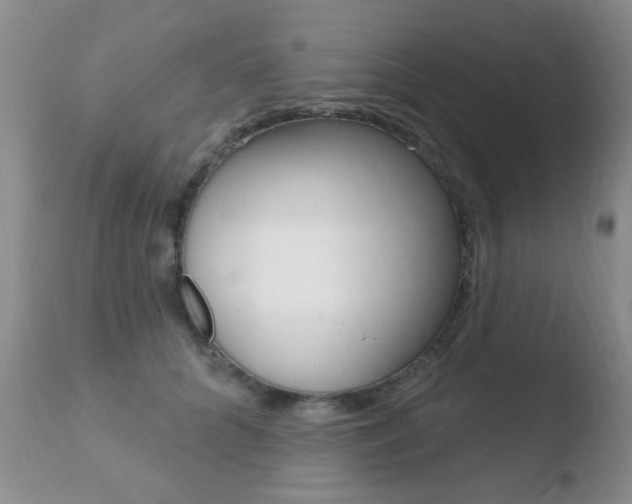 X0000110760704200906150930