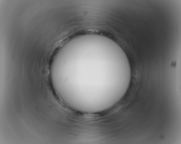 X0000110760707200906150930