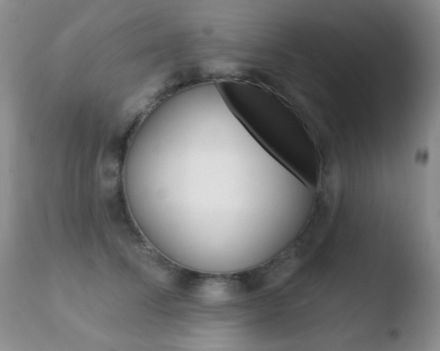 X0000110760708200906150930