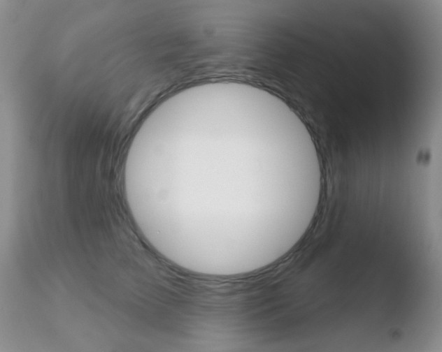 X0000110760709200906150930