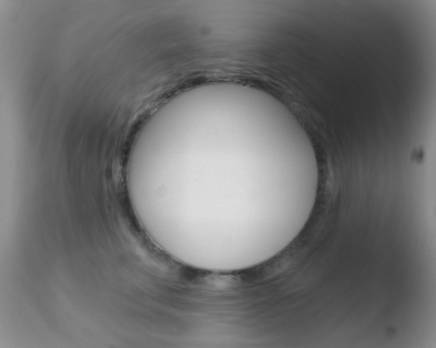 X0000110760711200906150930