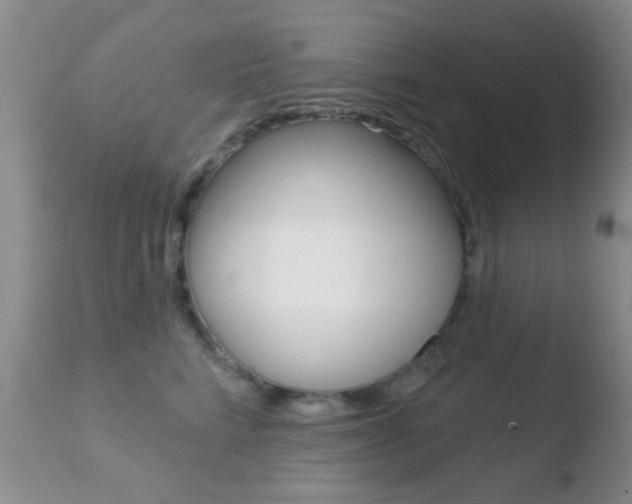 X0000110760712200906150930