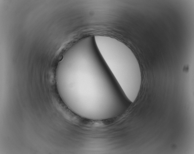 X0000110760715200906150930