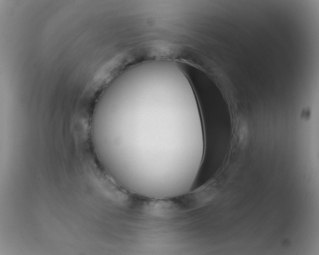 X0000110760716200906150930