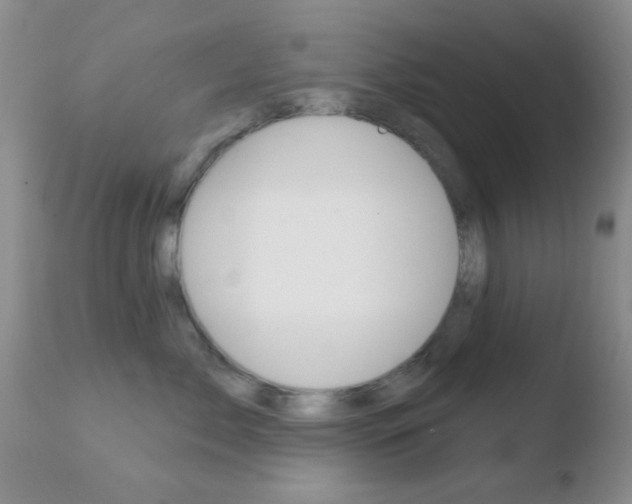 X0000110760717200906150930