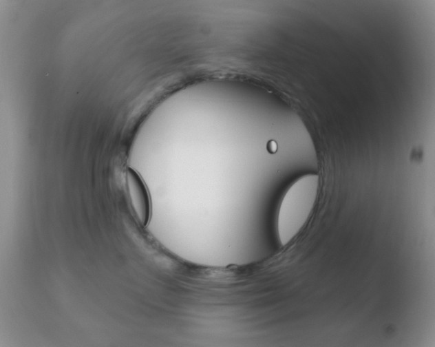 X0000110760719200906150930