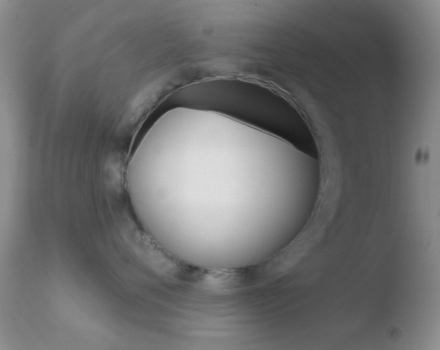 X0000110760720200906150930