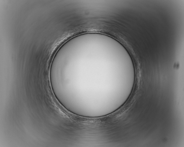 X0000110760721200906150929