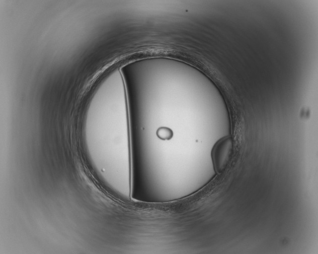 X0000110760722200906150929