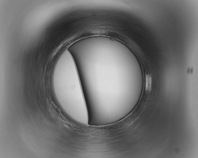 X0000110760723200906150929