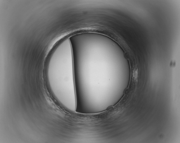 X0000110760724200906150929