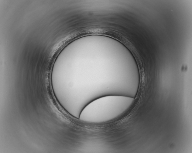 X0000110760725200906150929