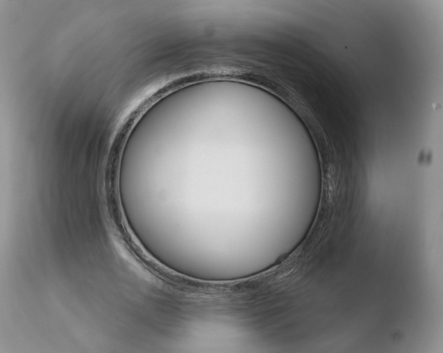 X0000110760726200906150929