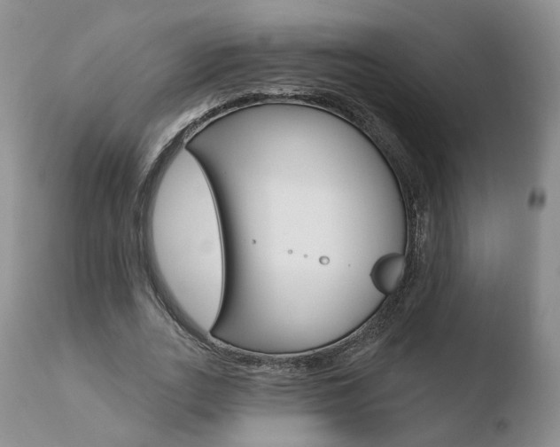 X0000110760727200906150929