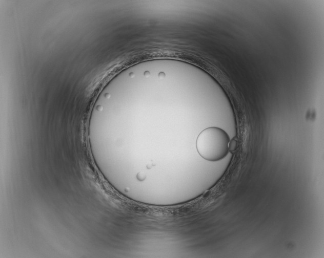 X0000110760729200906150929