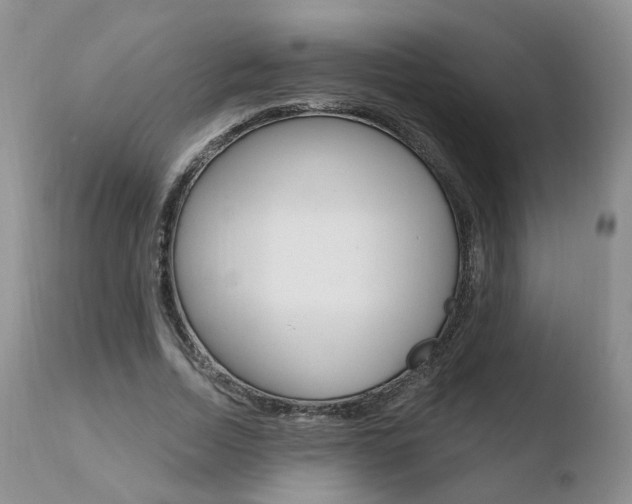 X0000110760730200906150929
