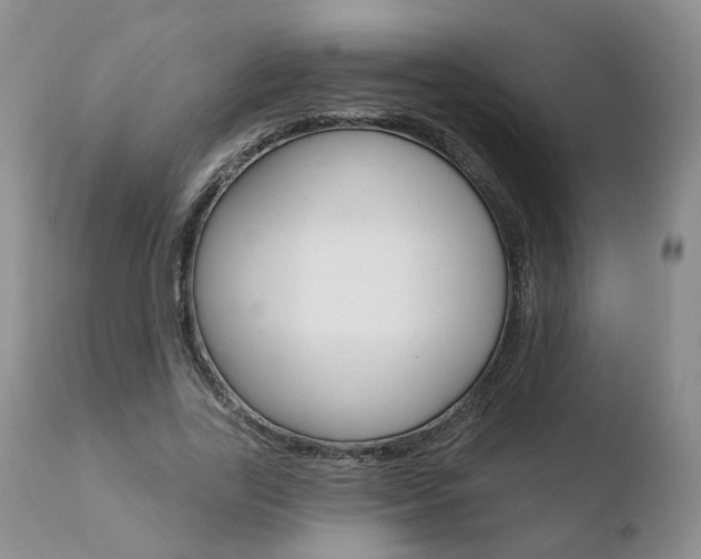 X0000110760731200906150929