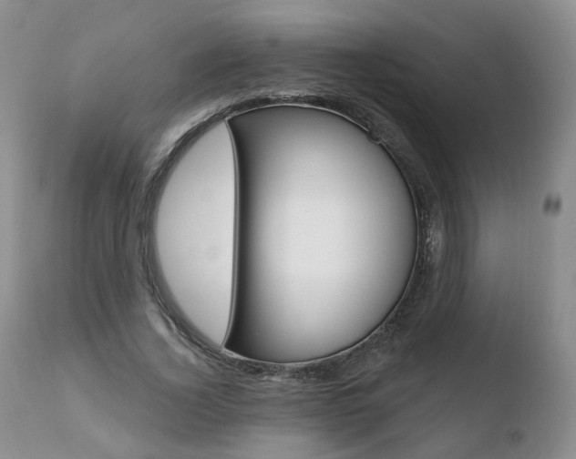 X0000110760732200906150929