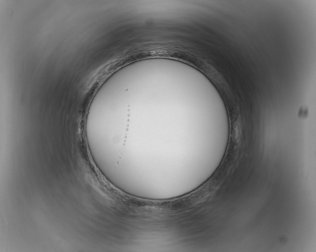 X0000110760733200906150929