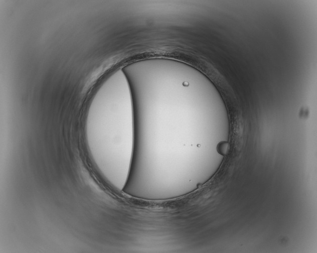 X0000110760734200906150929