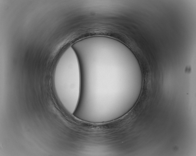 X0000110760735200906150929