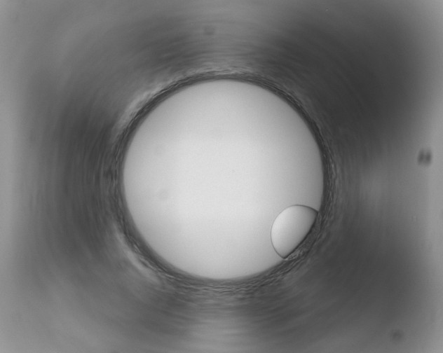 X0000110760736200906150929