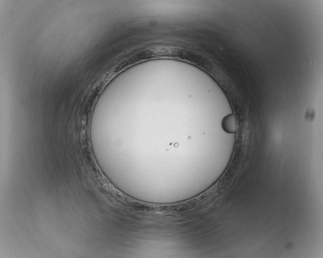 X0000110760737200906150929