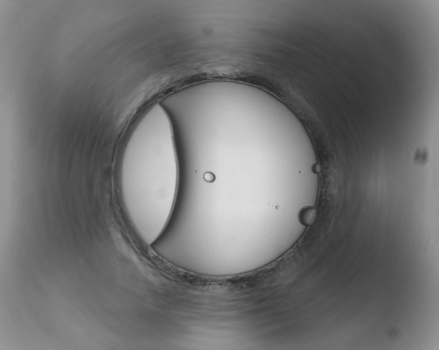 X0000110760738200906150929