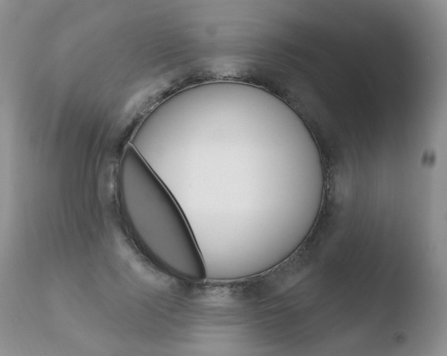 X0000110760740200906150929