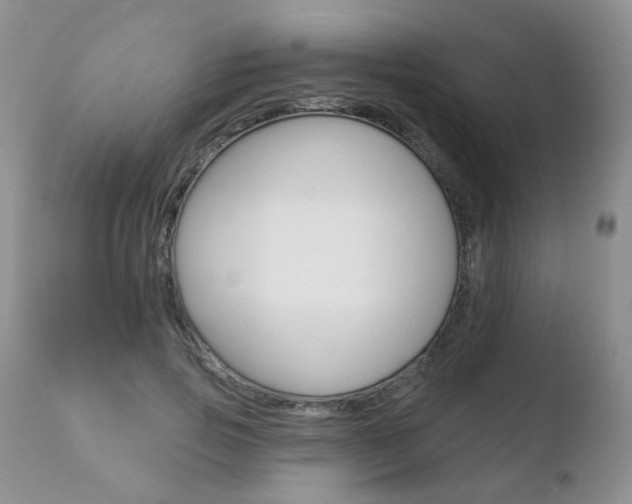 X0000110760741200906150929