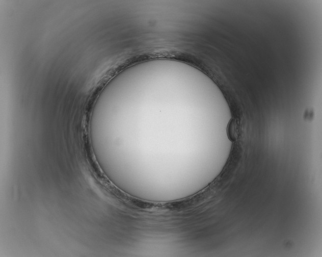 X0000110760742200906150929