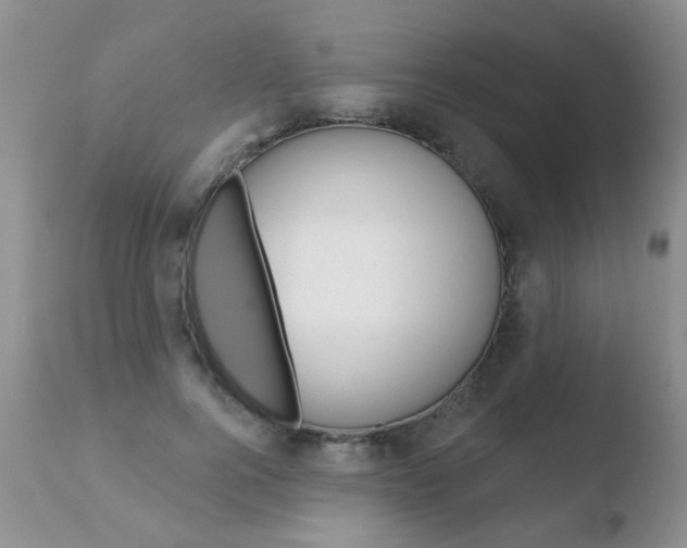 X0000110760744200906150929