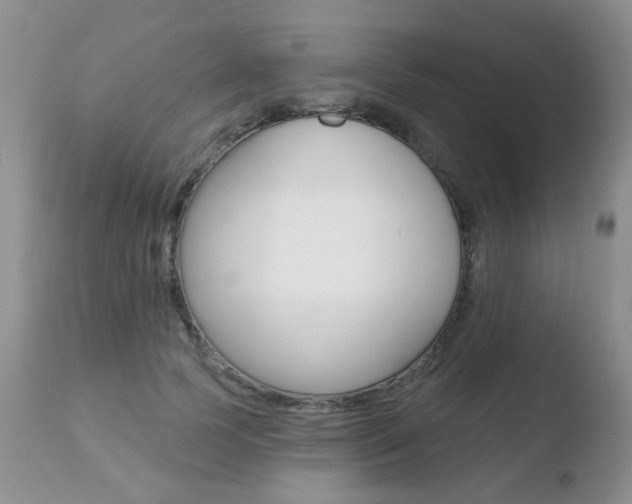 X0000110760745200906150929