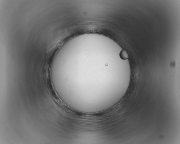 X0000110760746200906150929