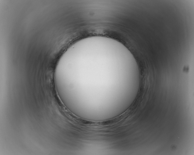 X0000110760747200906150929