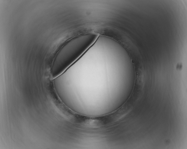 X0000110760748200906150929