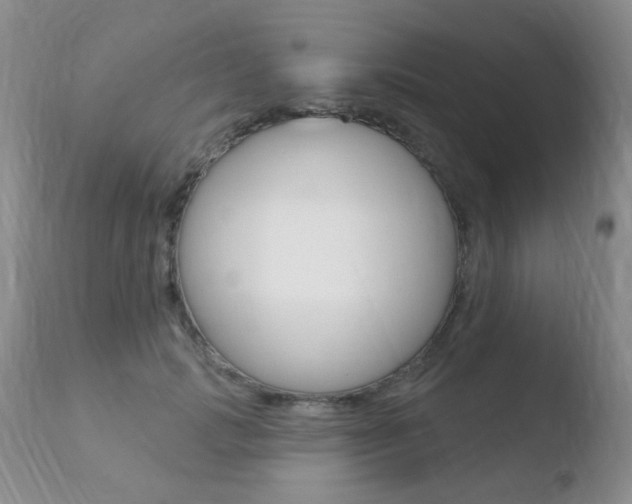 X0000110760749200906150929
