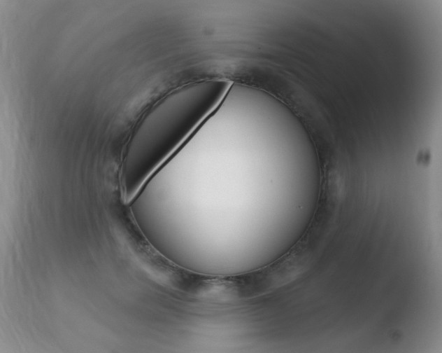 X0000110760750200906150929
