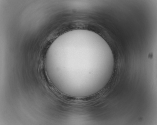 X0000110760751200906150929