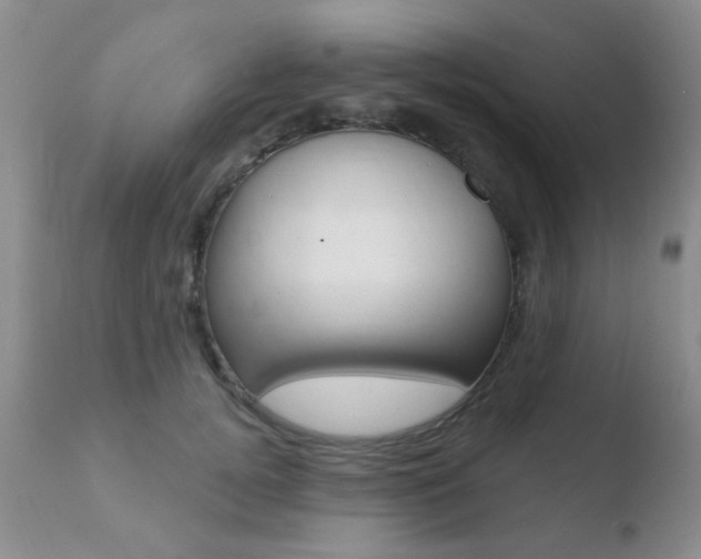 X0000110760752200906150929