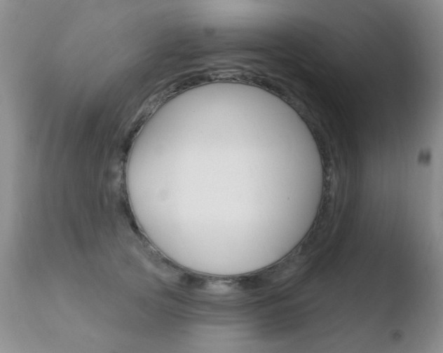 X0000110760753200906150929