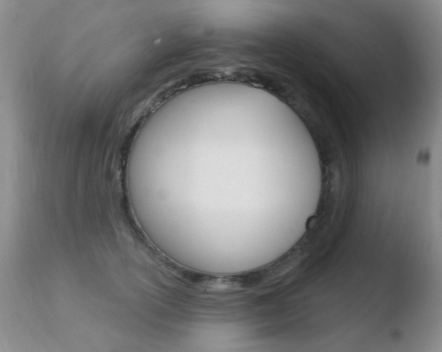 X0000110760754200906150929