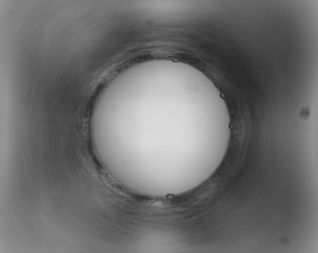 X0000110760755200906150929