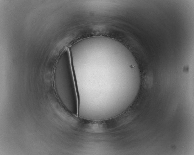 X0000110760756200906150929