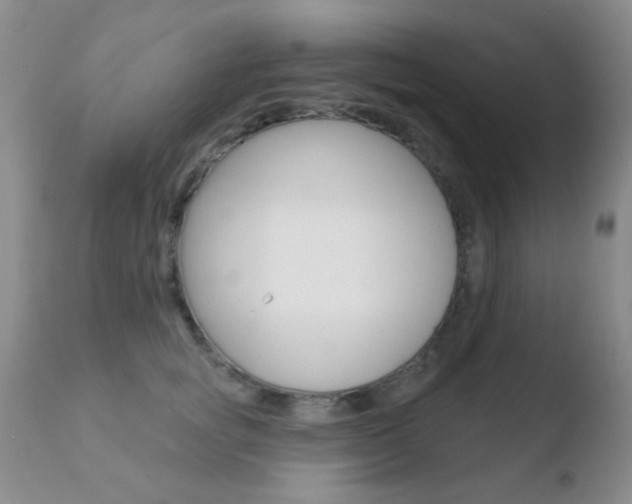 X0000110760757200906150929