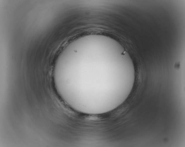 X0000110760759200906150929
