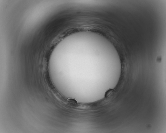 X0000110760760200906150929