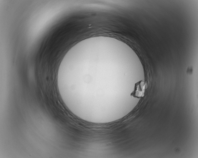 X0000110760762200906150929